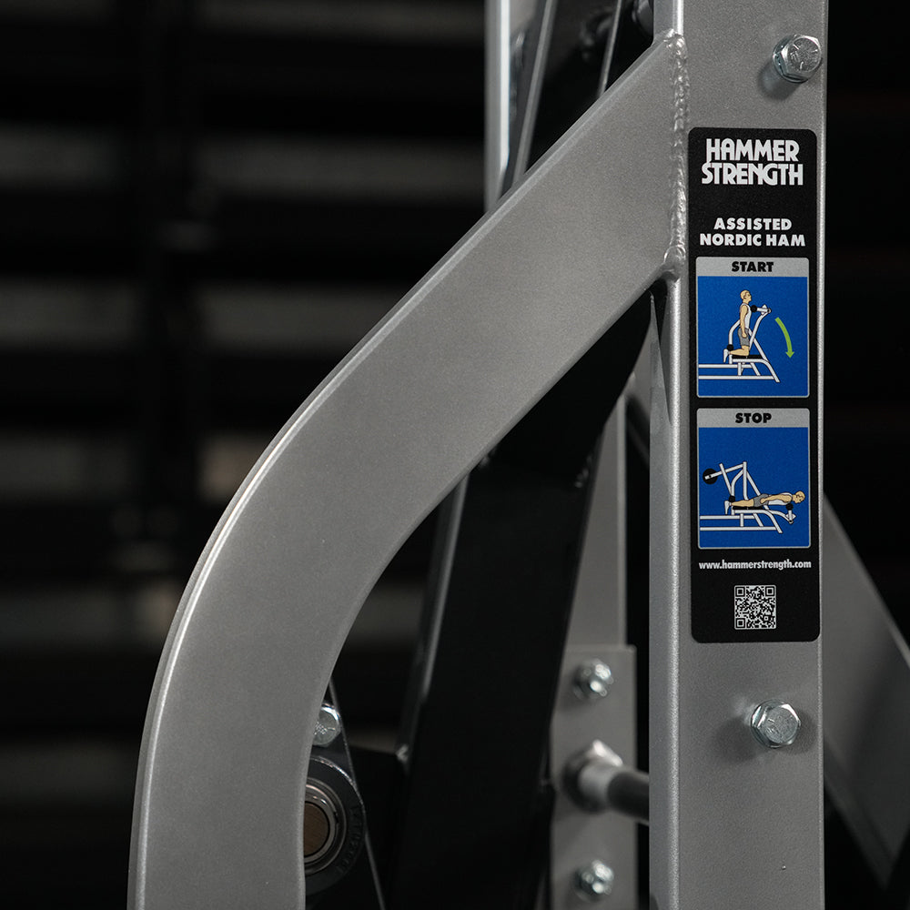 Hammer Strength Assisted Nordic Ham