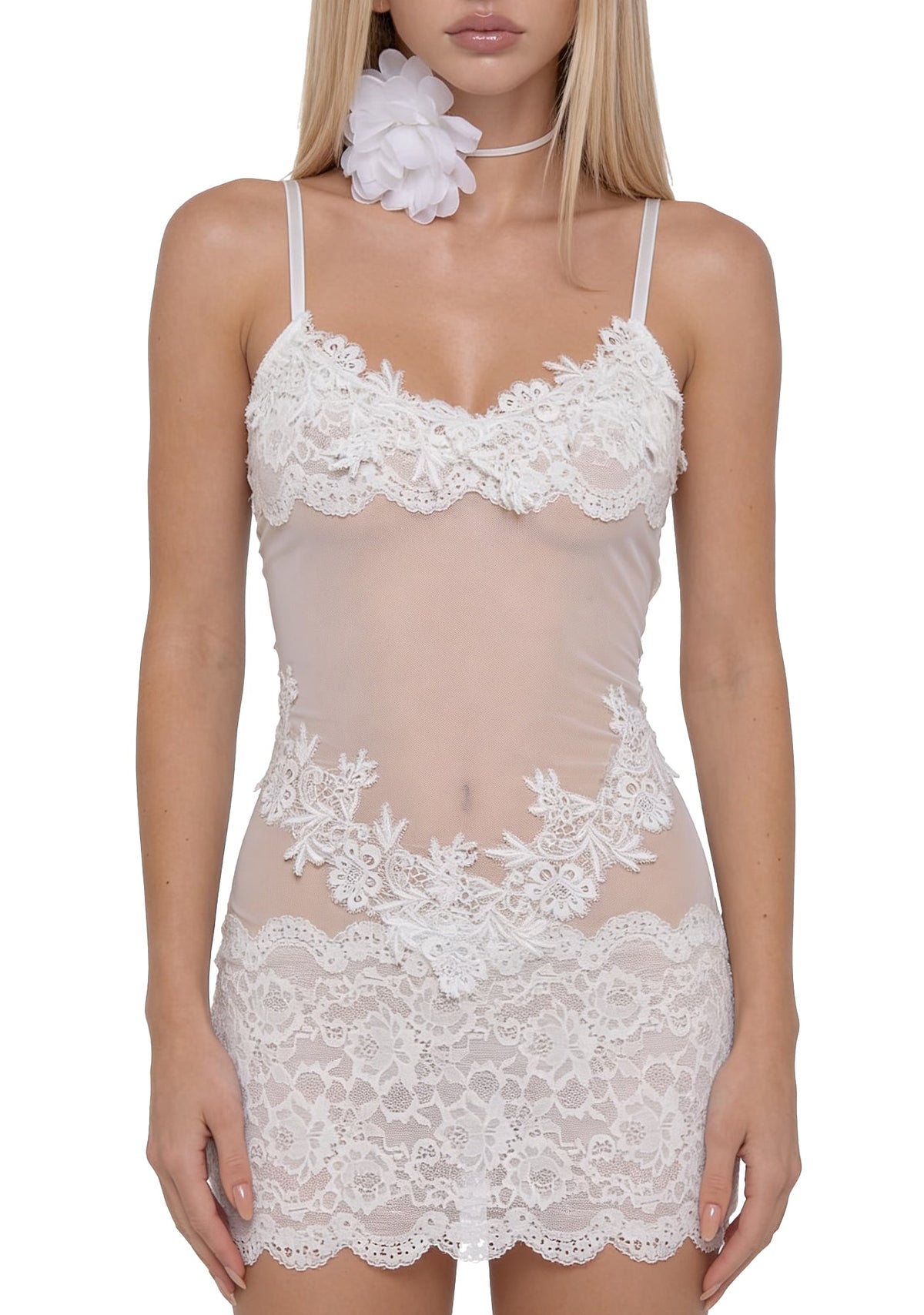 Chantilly Slip Lace Mini Dress