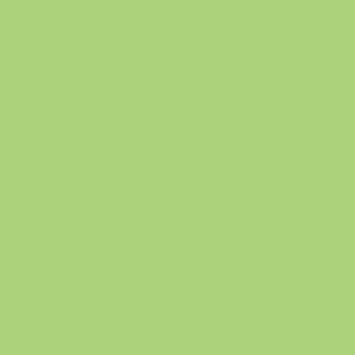 Teen Craft Oxford Shoes - Green