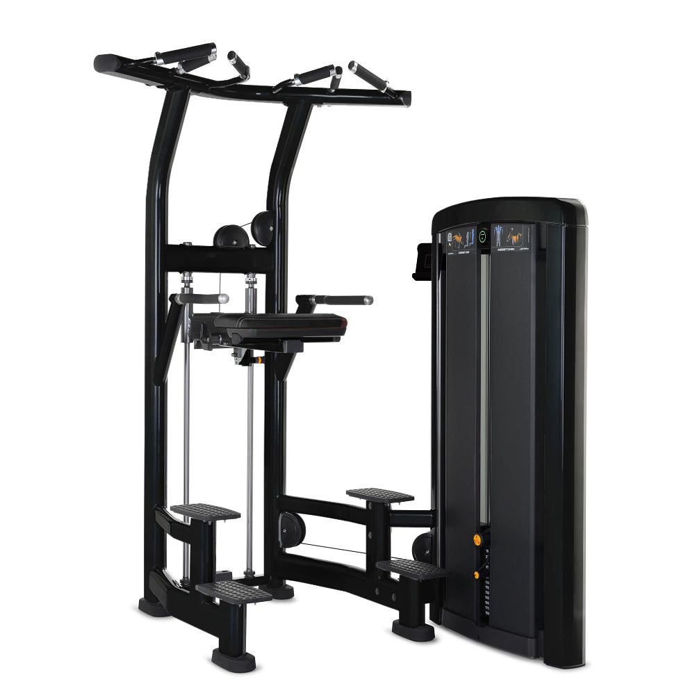 Insignia Series Assist Dip Chin