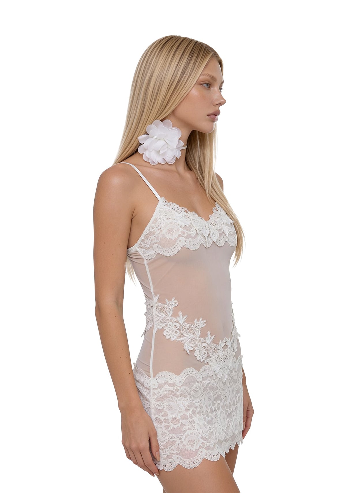 Chantilly Slip Lace Mini Dress