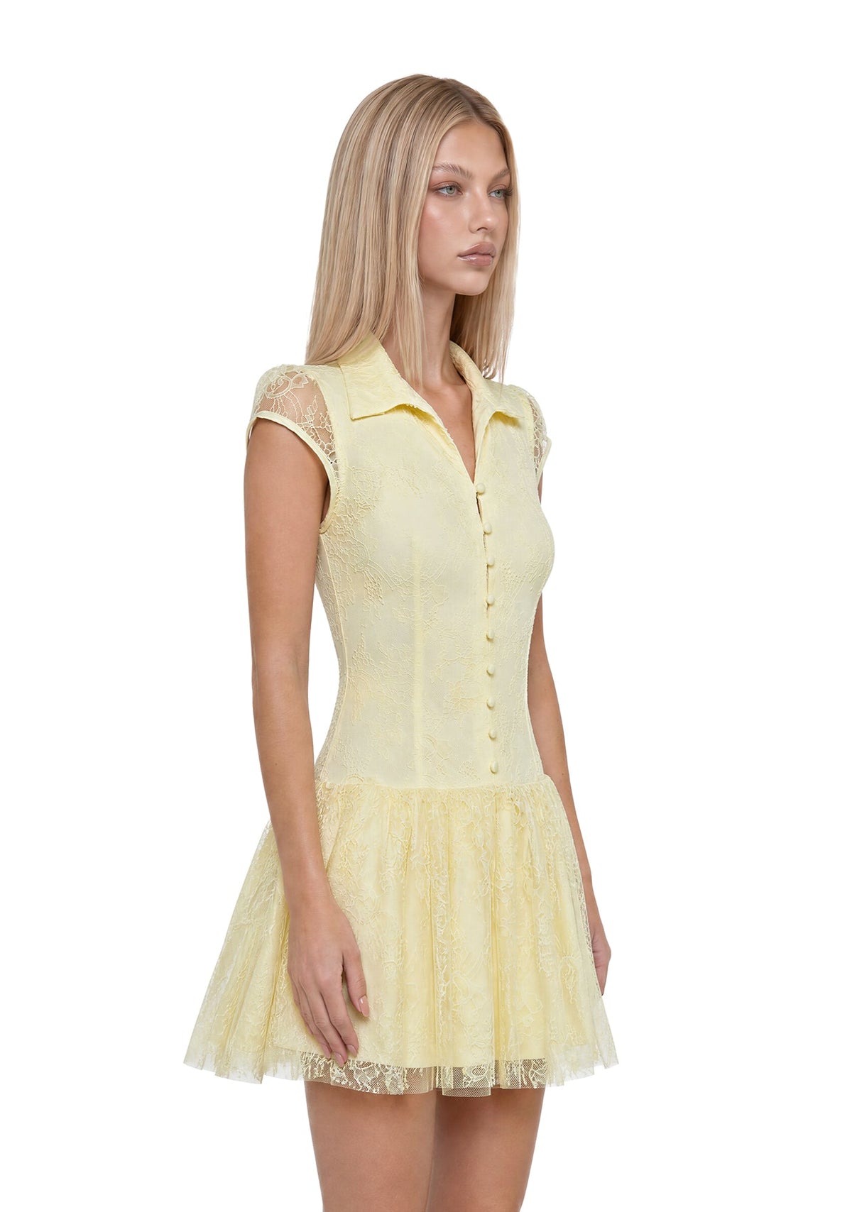Meadow Flare Mini Dress