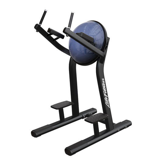 Life Fitness Leg Raise