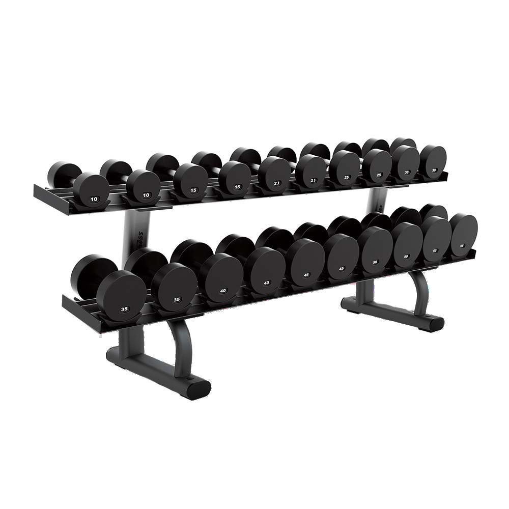 Life Fitness Two Tier Dumbbell Rack